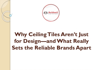 Why Ceiling Tiles Aren’t Just for Design—and What Really Sets the Reliable Brands Apart