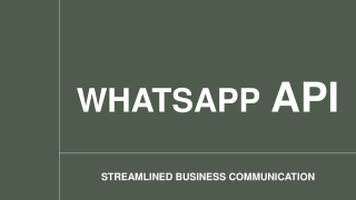 Achieve Seamless Integration with the Best WhatsApp API