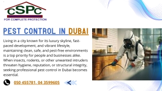 Protecting Homes and Businesses Choosing the Best Pest Control in Dubai Solution