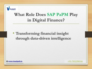 SAP PaPM Online Training Hyderabad - Ameerpet - 2025