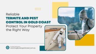 Reliable Termite and Pest Control in Gold Coast Protect Your Property the Right Way