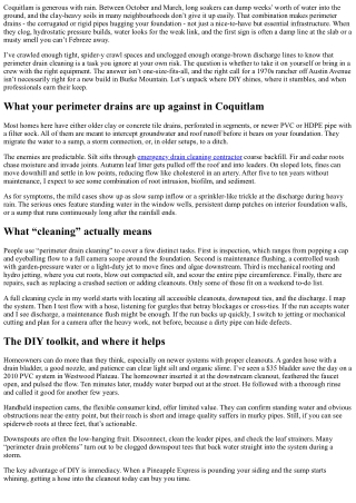 DIY vs. Professional Perimeter Drain Cleaning: Pros and Cons for Coquitlam Homes