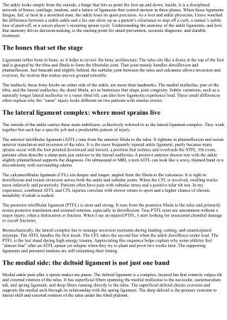Ankle Structure Specialist: Anatomy of the Ankle Ligaments