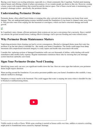 Perimeter Drain Cleaning for New Homeowners in Coquitlam: A Must-Read Guide