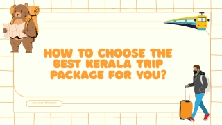 How to Choose the Best Kerala Trip Package for You