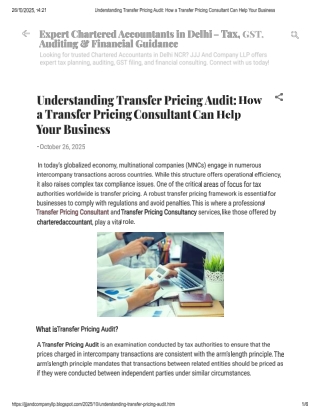 Transfer Pricing Audit