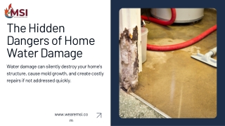 The Hidden Dangers of Home Water Damage