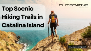 Top 5 Scenic Hiking Trails in Catalina Island for Stunning Views