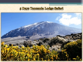 5 Days Tanzania Lodge Safari