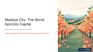 MALATYA CITY World Apricots Capital - Explore the Source of Premium Dried Fruit