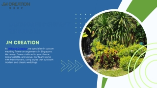 Leading Landscape Company in Singapore  Professional Landscaping by JM Creation