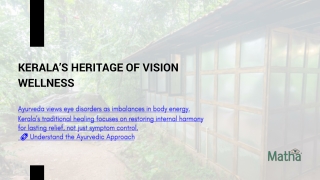Kerala’s Traditional Ayurvedic Eye Care – Natural Healing for Better Vision