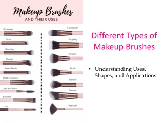 Types of makeup brushes