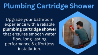 Plumbing Cartridge Shower