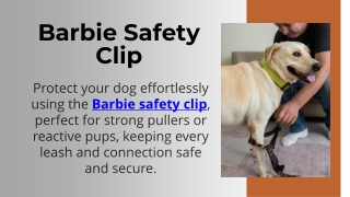 Barbie Safety Clip