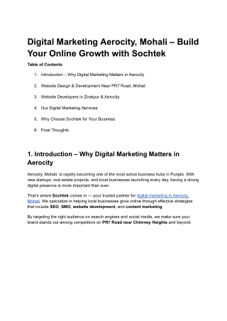 Digital Marketing in Aerocity, Mohali – Boost Your Business with Sochtek