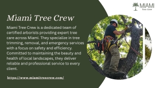 Tree Service Coral Gables - Miamitreecrew.com