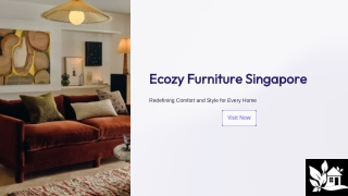Ecozy Furniture Singapore – Redefining Comfort and Style for Every Home