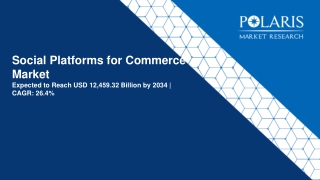 Social Platforms for Commerce Market