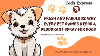 Fresh and Fabulous Why Every Pet Owner Needs a Deodorant Spray for Dogs - Cada Express