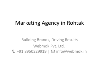 Marketing agency in Rohtak webmok pvt ltd