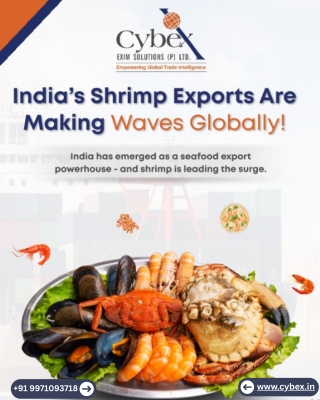 India’s Shrimp Export Data 2025: Global Market Insights