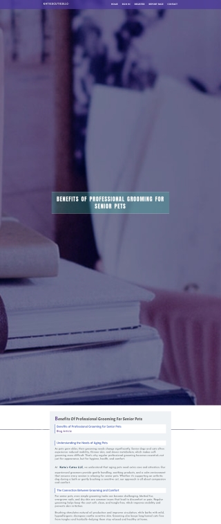 BENEFITS OF PROFESSIONAL GROOMING FOR SENIOR PETS