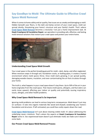Chesapeake’s Trusted Crawl Space Mold Removal Experts