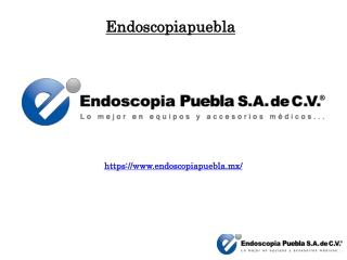 Neuro endoscopio