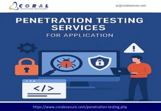 Penetration Testing Services for Application