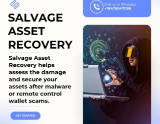HIRE SALVAGE ASSET RECOVERY TO HELP YOU RECOVER YOUR CRYPTO FROM SCAMMERS