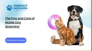 The Pros and Cons of Mobile Dog Grooming