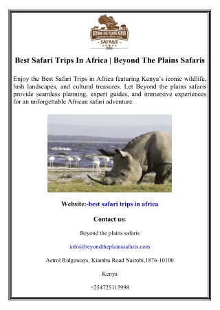 Best Safari Trips In Africa  Beyond The Plains Safaris