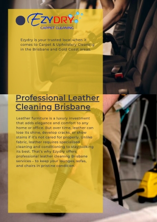 Professional Leather Cleaning Brisbane