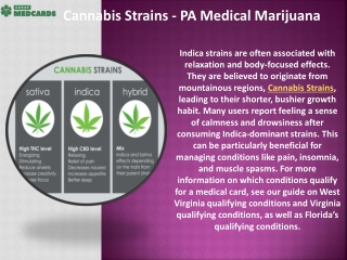 Cannabis Strains - PA Medical Marijuana