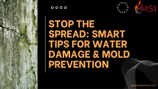 Stop the Spread Smart Tips for Water Damage & Mold Prevention