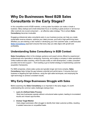 Why Do Businesses Need B2B Sales Consultants in the Early Stages_