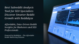 Discover how Reddalyze helps SEO specialists unlock Reddit’s full potential with