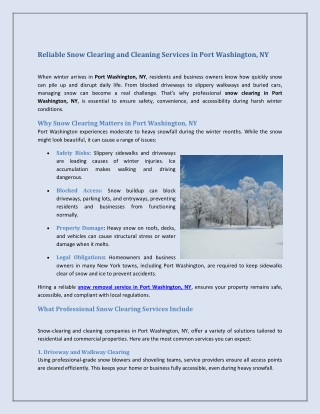 Reliable Snow Clearing and Cleaning Services in Port Washington, NY