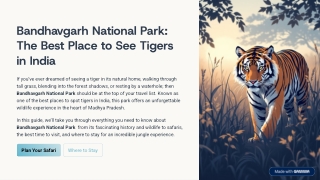bandhavgarh national park the best place to see tigers in india