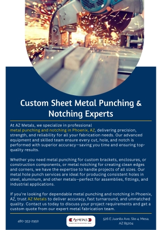Custom Sheet Metal Punching & Notching Experts
