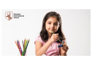 Rank vs Skills Why Real Learning Goes Beyond Marks