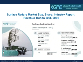 Surface Radars Market Size, Share, Industry Report, Revenue Trends 2025-2034