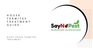 Comprehensive House Termites Treatment Guide