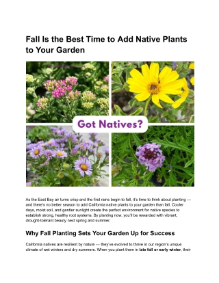 California Native Plants in San Leandro