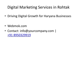 Digital_Marketing_Company_in_Rohtak webmok pvt ltd