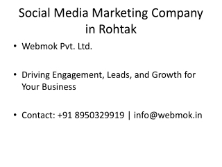 Social_Media_Marketing_Company_in_Rohtak_Webmok