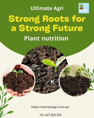 Plant nutrition