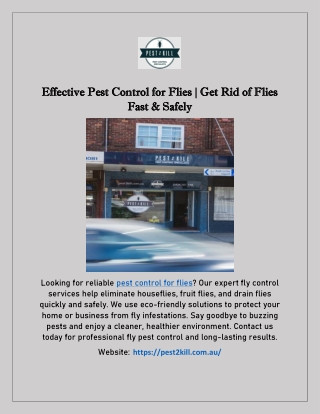Effective Pest Control for Flies