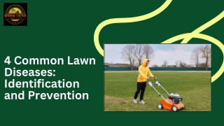 4 Common Lawn Diseases - Identification and Prevention